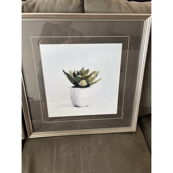 Paragon Picture Gallery Succulents I And II By Sayilir Each 18"x18" - Picture 7 of 7